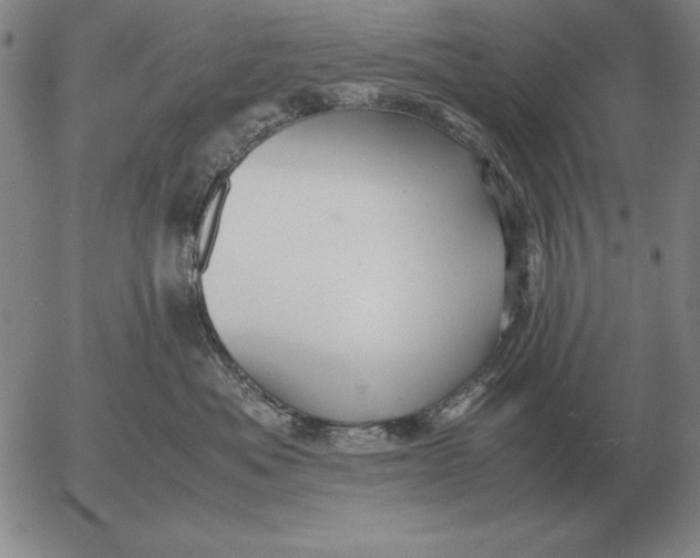 X0000053110525200508012128