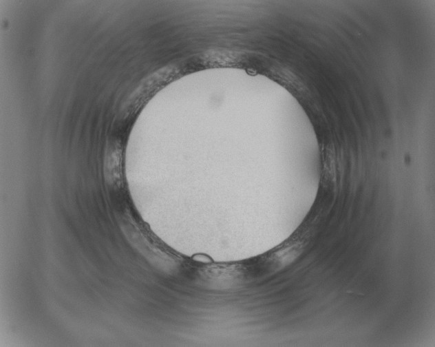 X0000053110526200508012128