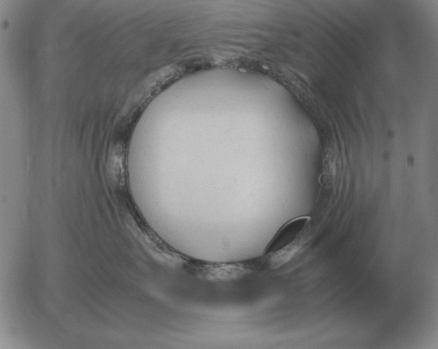 X0000053110527200508012128