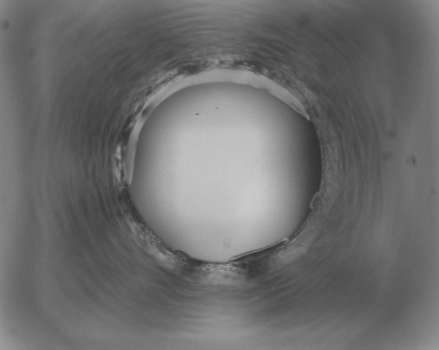 X0000053110528200508012128