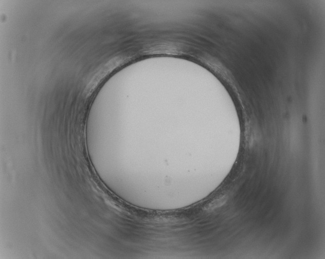 X0000053110529200508012127