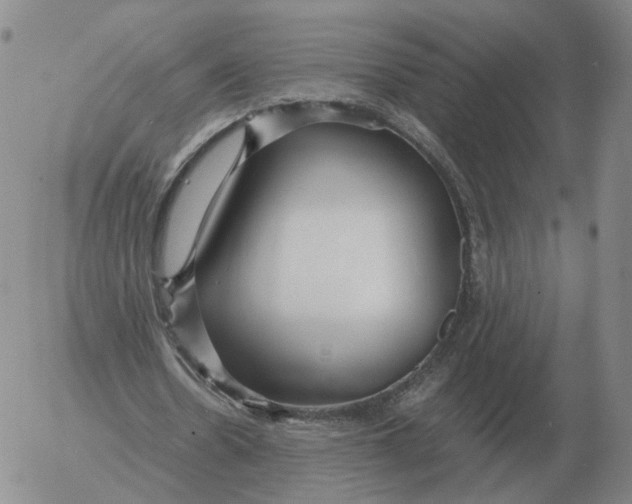 X0000053110530200508012127