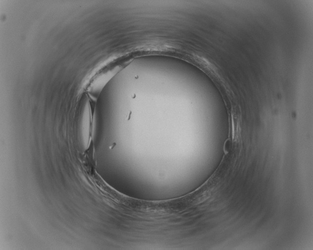 X0000053110531200508012127