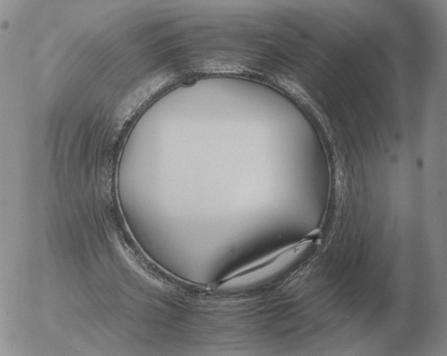 X0000053110533200508012127