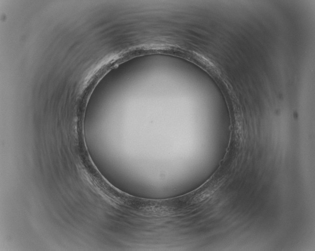 X0000053110535200508012127