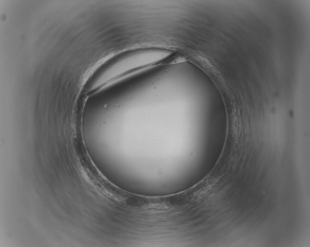 X0000053110536200508012127