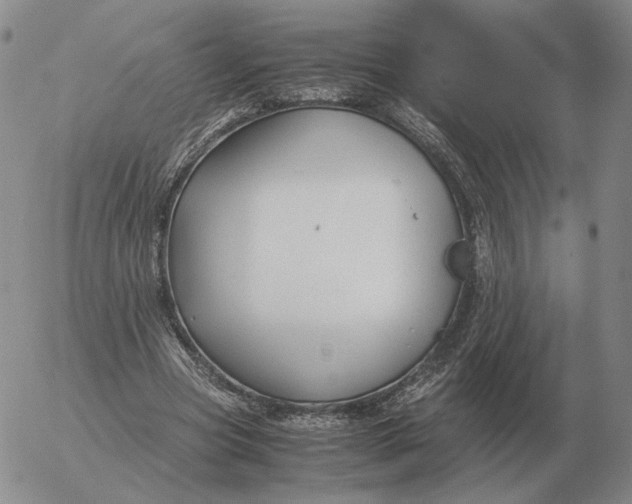 X0000053110537200508012127