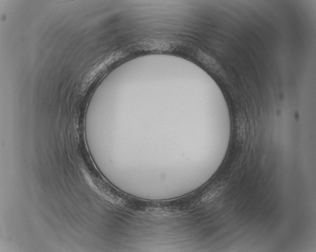 X0000053110538200508012127