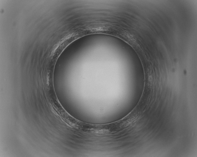 X0000053110539200508012127