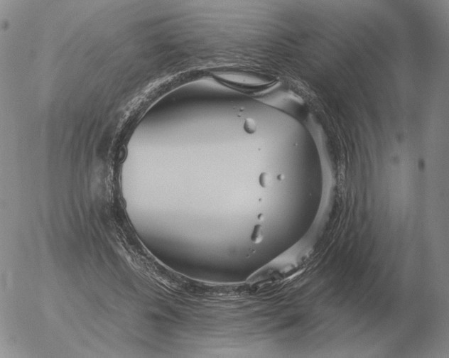 X0000053110540200508012127