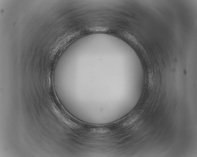 X0000053110541200508012127