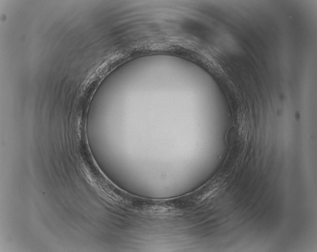 X0000053110542200508012127