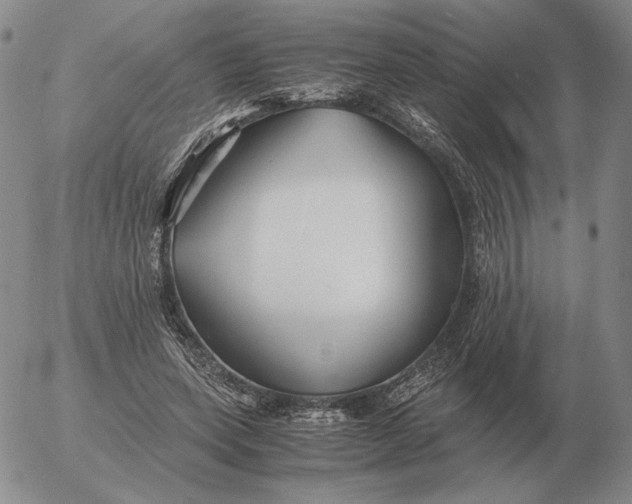 X0000053110543200508012127