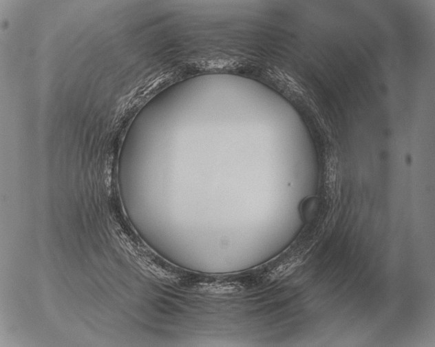 X0000053110545200508012127