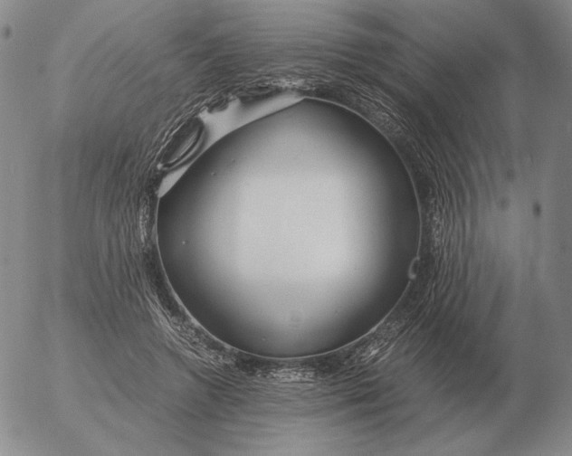 X0000053110546200508012127