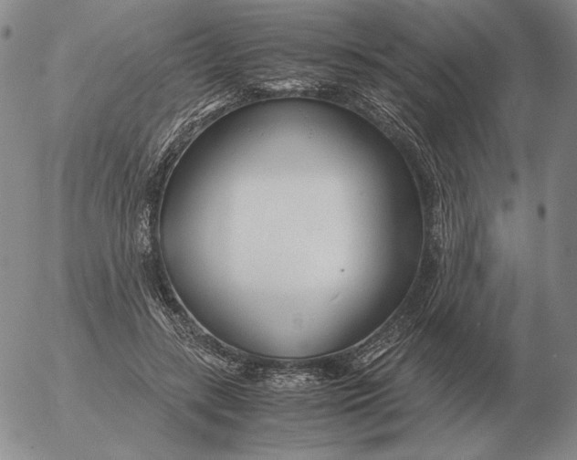 X0000053110547200508012127