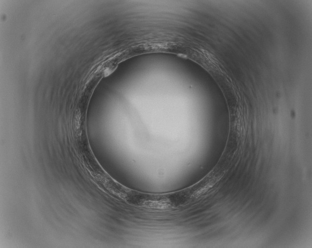 X0000053110548200508012127