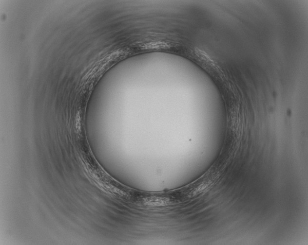 X0000053110549200508012127