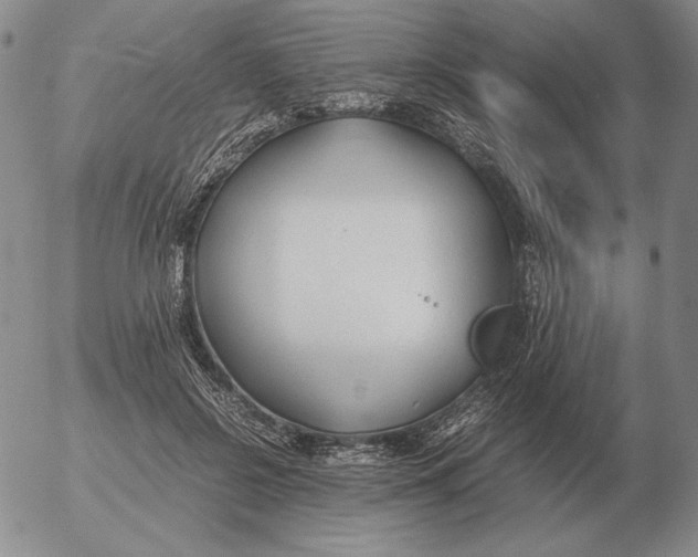 X0000053110550200508012127