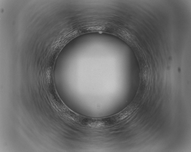 X0000053110551200508012127