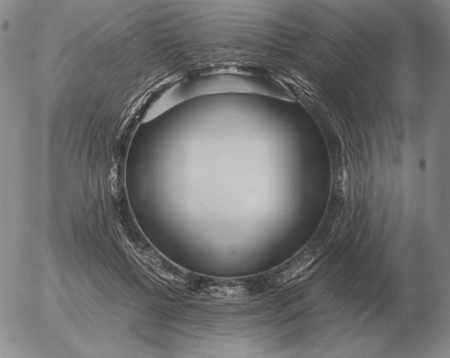 X0000053110552200508012127