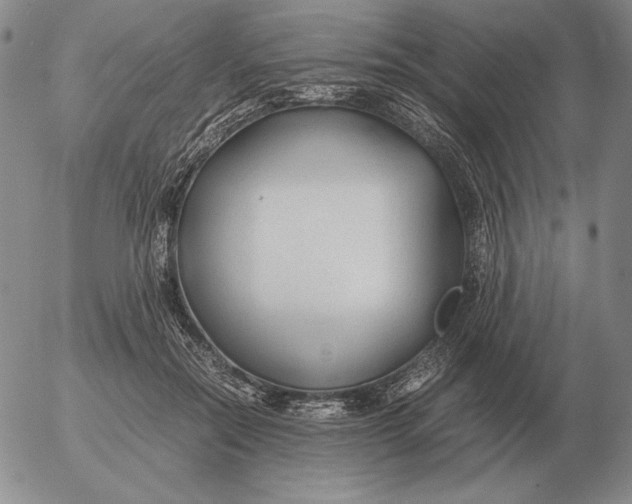 X0000053110554200508012127