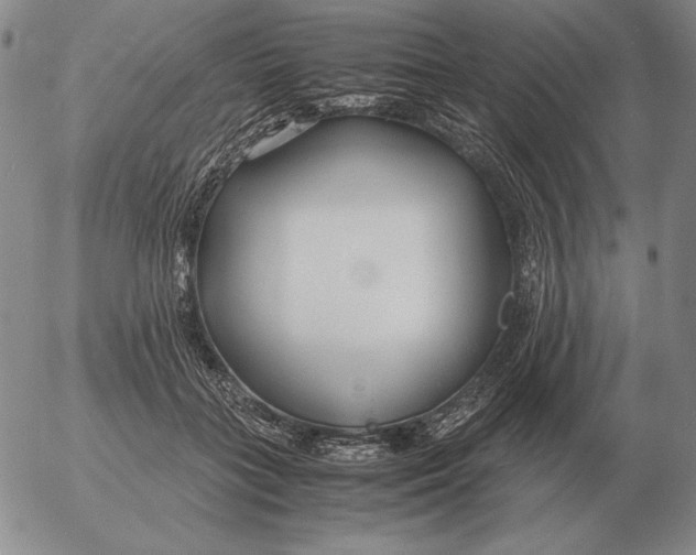 X0000053110555200508012127