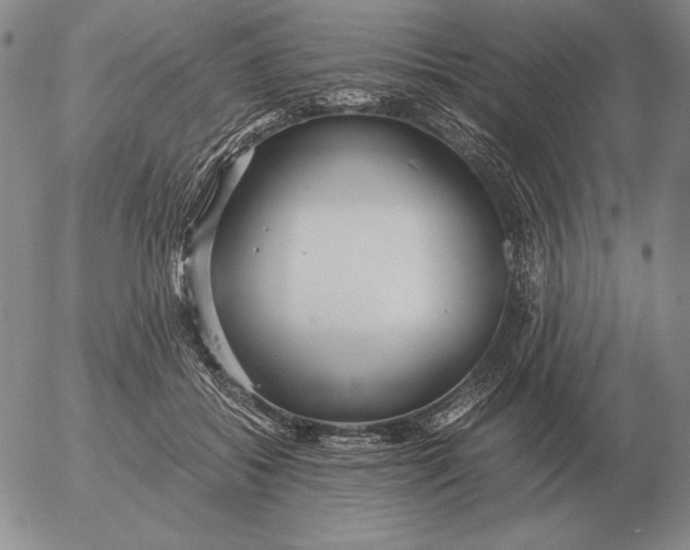 X0000053110556200508012127