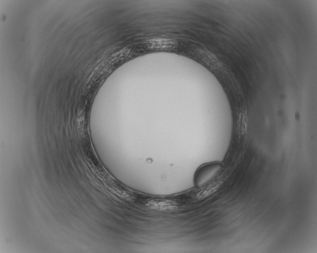 X0000053110557200508012127