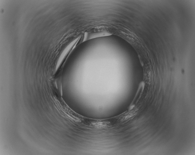 X0000053110558200508012127