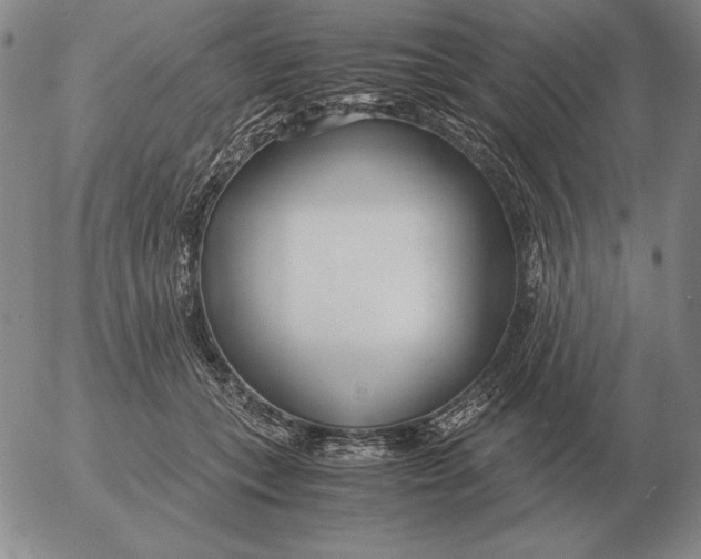 X0000053110559200508012128