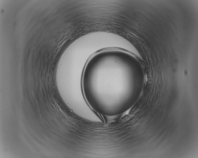 X0000053110560200508012128