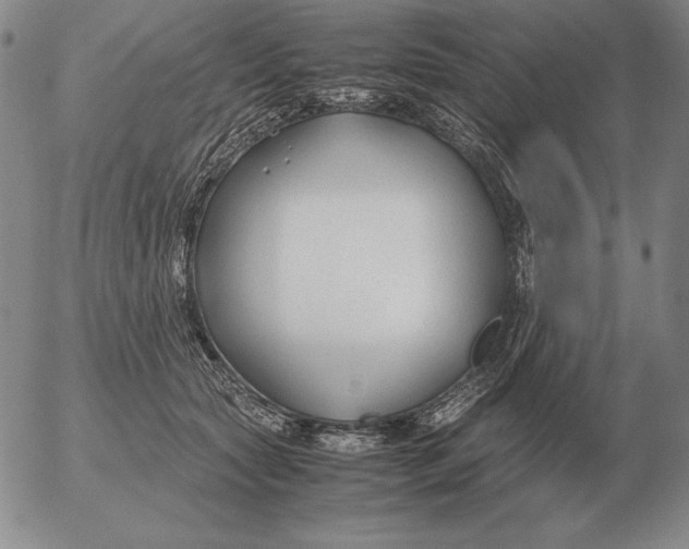 X0000053110561200508012128