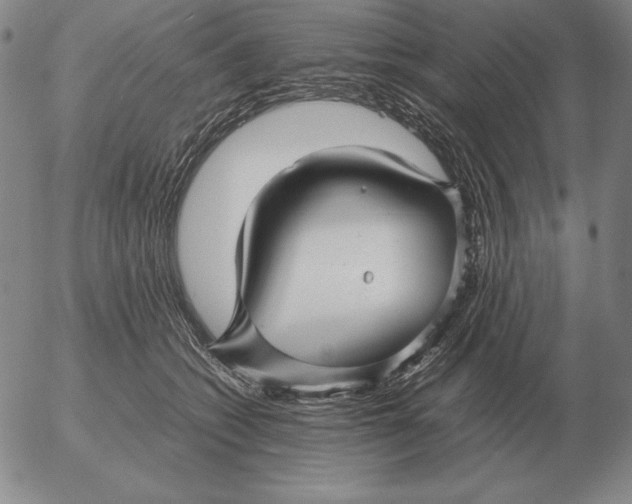 X0000053110562200508012128