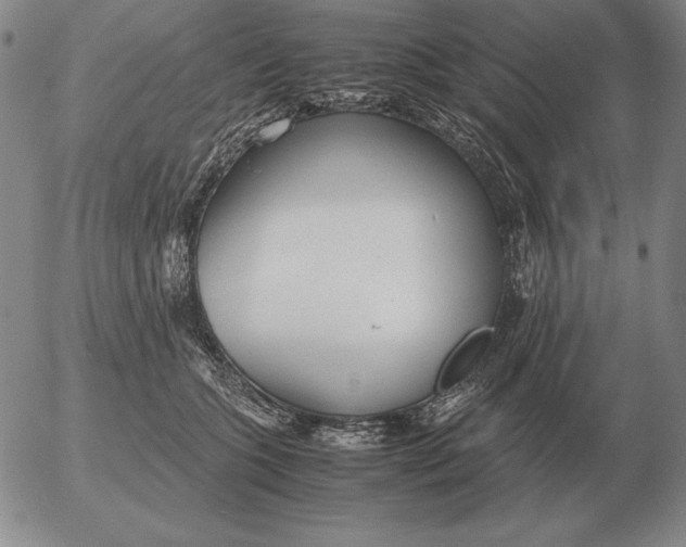 X0000053110563200508012128