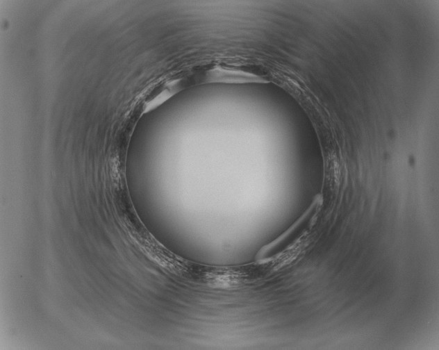 X0000053110564200508012128