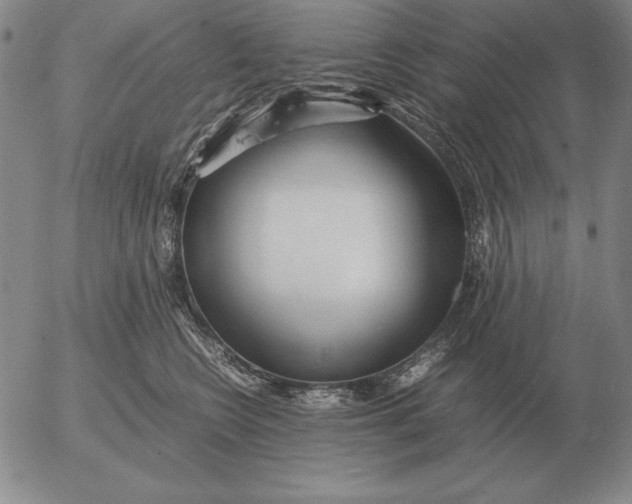 X0000053110566200508012128