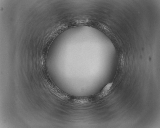 X0000053110567200508012128