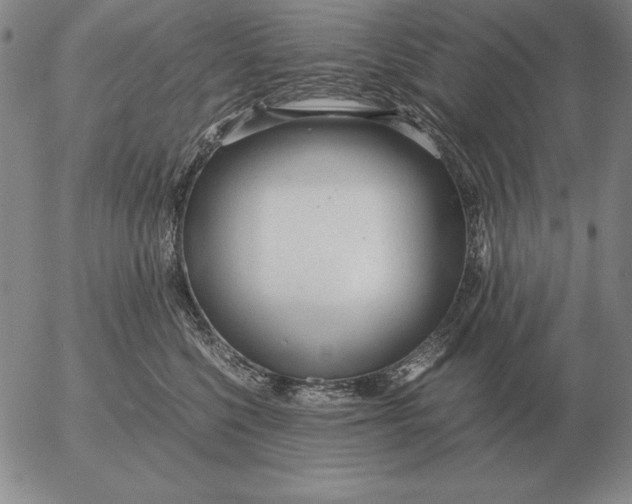 X0000053110568200508012128