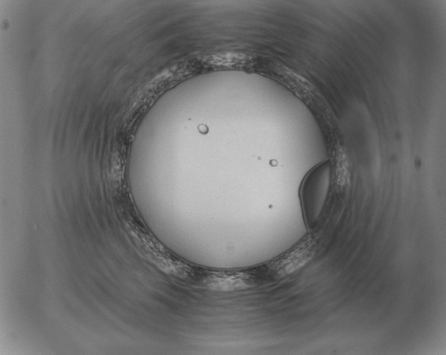 X0000053110569200508012128