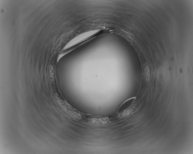 X0000053110571200508012128