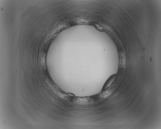 X0000053110573200508012128