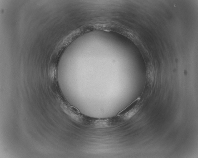 X0000053110574200508012128