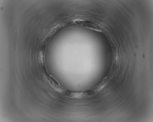 X0000053110575200508012128