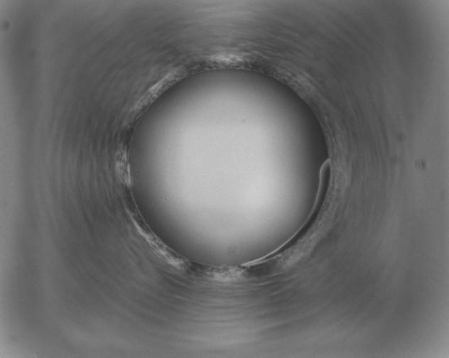 X0000053110576200508012128