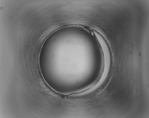 X0000053110577200508012127