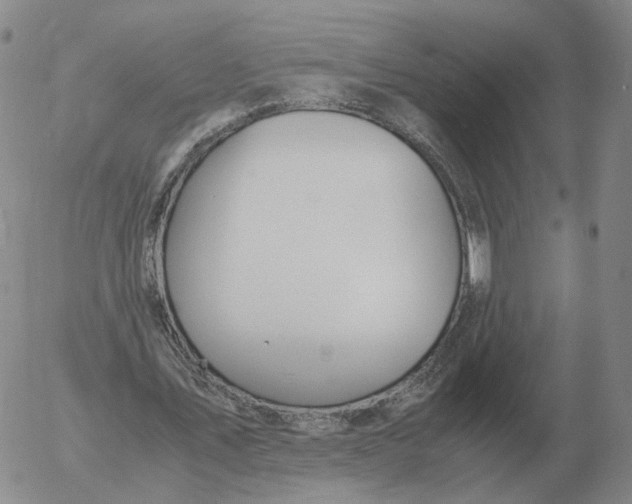 X0000053110579200508012127