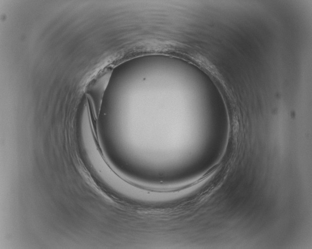 X0000053110581200508012127