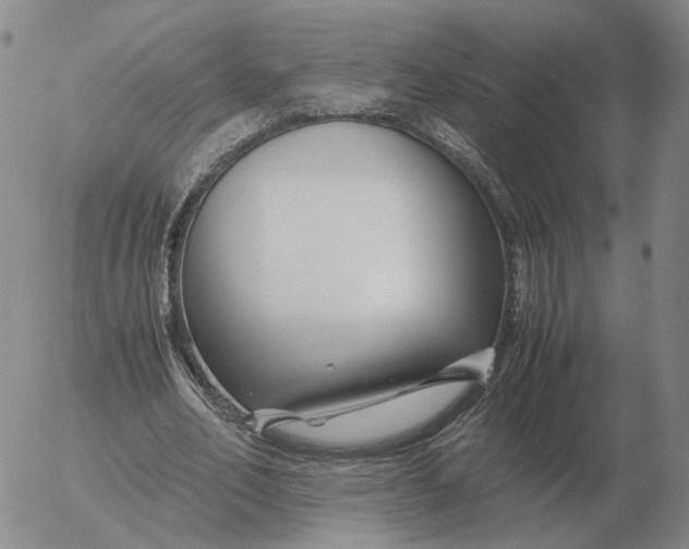 X0000053110582200508012127