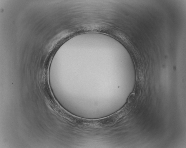 X0000053110583200508012127